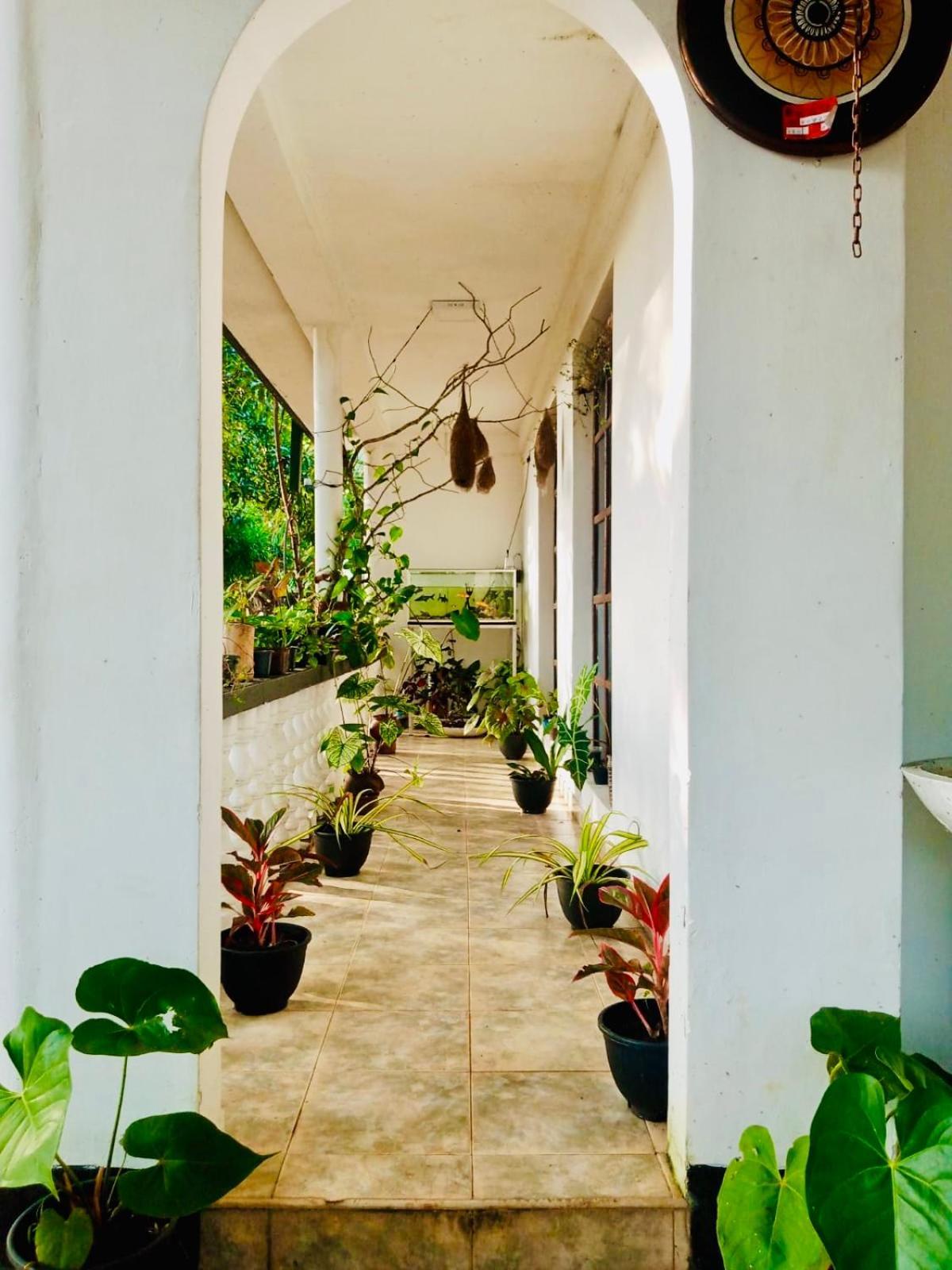 Abhaya Resorts Anuradhapura Exterior foto